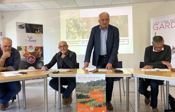 GARD Vignes Réboussières per far rivivere la regione