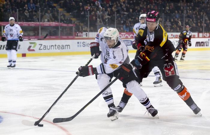 SCB Fribourg Gotteron: il Berna batte il Friburgo 6:3