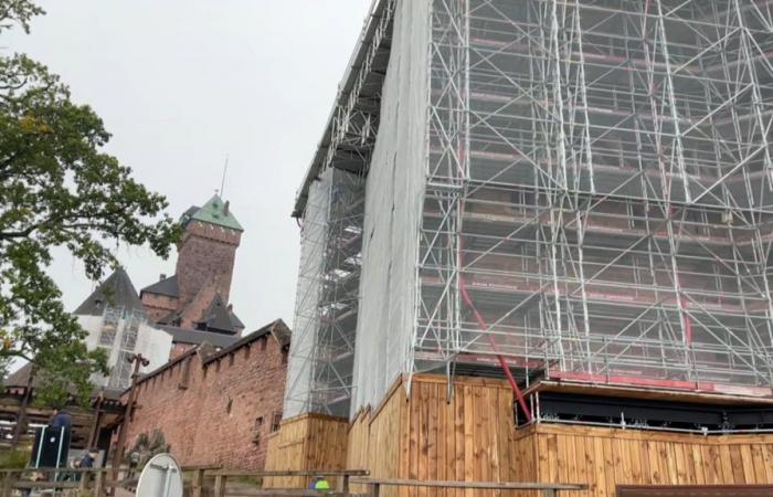 lavorare per aprire un ristorante al castello dell’Haut-Koenigsbourg