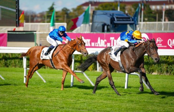 Venerdì 4 ottobre 2024 a Saint-Cloud – Prix Scaramouche (L.): Shakti se lo è meritato