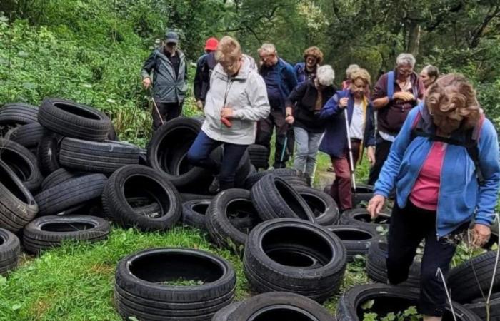 In questa zona rurale della Val-d’Oise, le discariche abusive sono una vera piaga