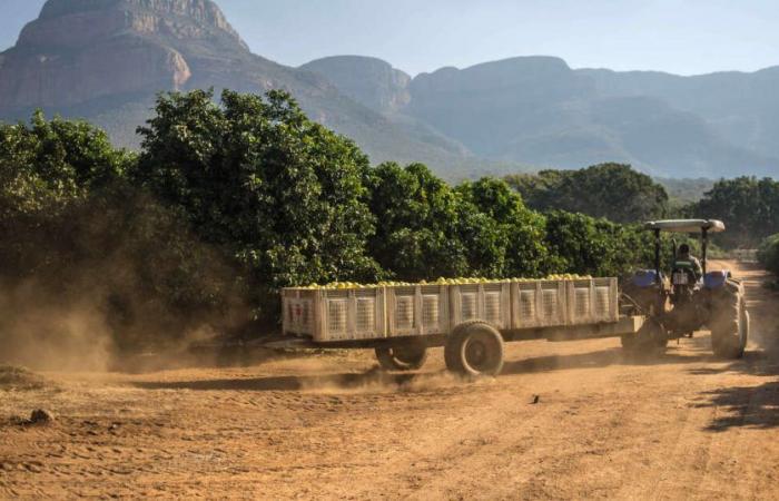 In Sud Africa un duplice omicidio testimonia la violenza razziale nelle campagne