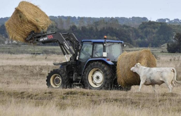 Agricoltura: La Confederazione dei contadini 44 delle campagne chiede donazioni