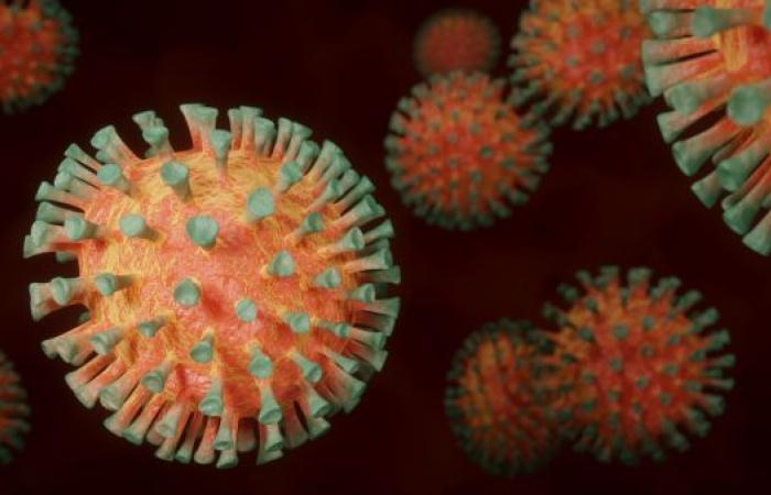 Niente più CO2, niente più virus mortali