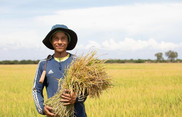 L’indice dei prezzi alimentari della FAO aumenta a settembre – Mondo