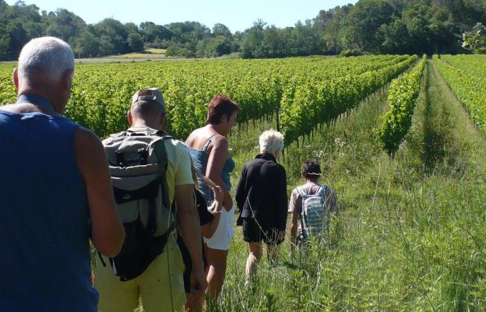 GARD Vignes Réboussières per far rivivere la regione