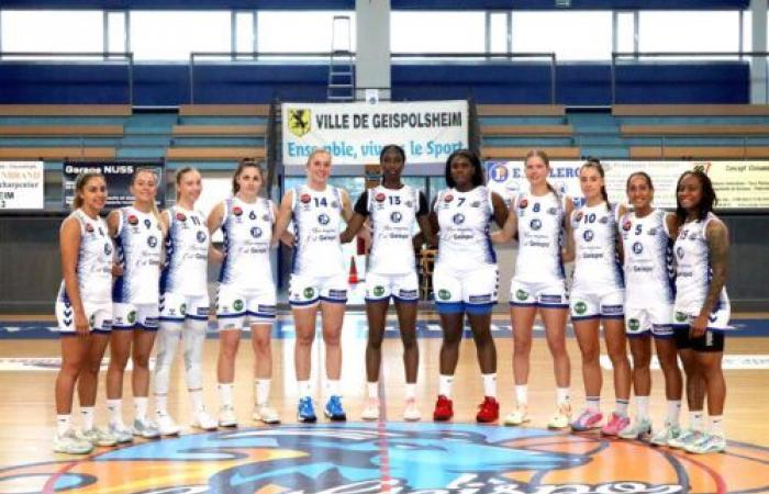 NF1 gruppo A: Limoges e Le Poinçonnet devono riprendere in casa, Geispolsheim vuole continuare – Postup.fr