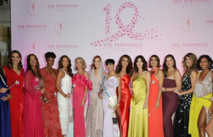 Sylvie Tellier e suo marito, Chloé Mortaud incinta, Nathalie Marquay radiosa… Miss France fa di tutto per una buona causa (FOTO)