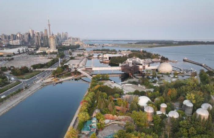 È iniziato il taglio raso della foresta di Ontario Place