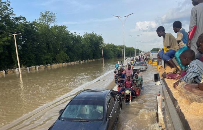 Lo stato di Borno in Nigeria colpito dal colera a seguito delle inondazioni