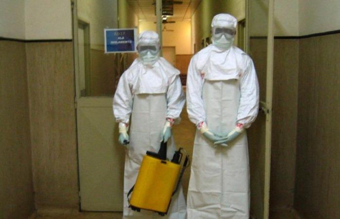 Preoccupazione dell’OMS per questo nuovo virus simile all’Ebola, le autorità belghe chiedono una maggiore vigilanza