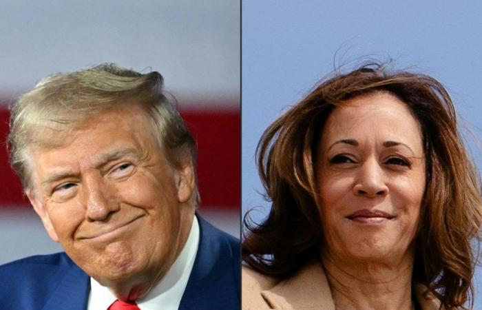 Harris e Trump negli stati chiave