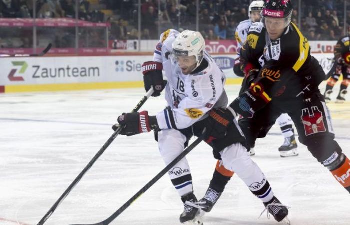 SCB Fribourg Gotteron: il Berna batte il Friburgo 6:3