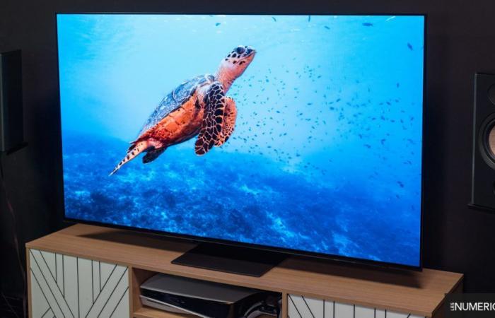 Buon affare – Il televisore “5 stelle” Samsung 55S95D a 1.699,00 € (-13%)