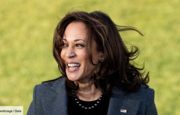 Kamala Harris vive in una villa di 33 stanze! Focus sulla residenza poco conosciuta dei vicepresidenti americani