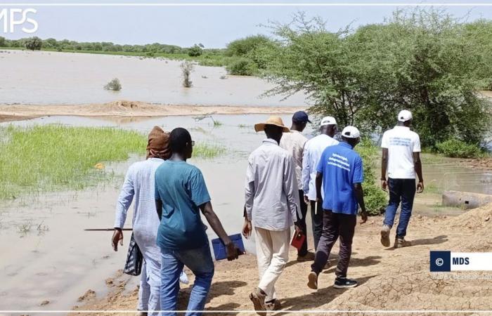 SENEGAL-ECONOMIA-AGRICOLTURA / Matam: SAED annuncia un piano di resilienza per gli agricoltori colpiti dallo straripamento del fiume Senegal – Agenzia di stampa senegalese