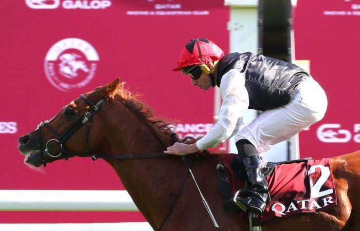 Qatar Prix du Cadran 2024 a ParigiLongchamp: Kyprios, una macchina