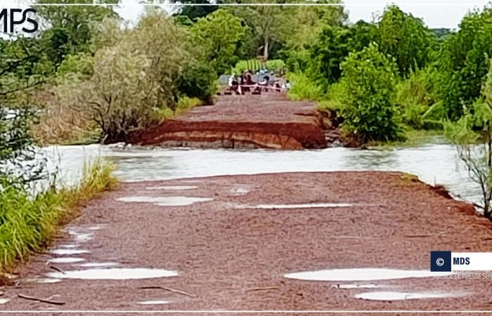 SENEGAL-COLLETTIVITA’-INFRASTRUTTURE – / Sédhiou: Cheikh Tidiane Dièye annuncia la riabilitazione del ponte Diop-Counda – Agenzia di stampa senegalese