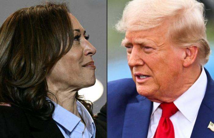 Kamala Harris favorita nei sondaggi a un mese dalle presidenziali americane, ma nulla è deciso