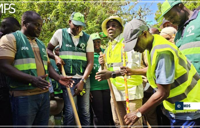 SENEGAL-AMBIENTE-ISTRUZIONE / Thiès: il liceo El Hadji Malick Sy organizza una giornata di pulizie – Agenzia di stampa senegalese