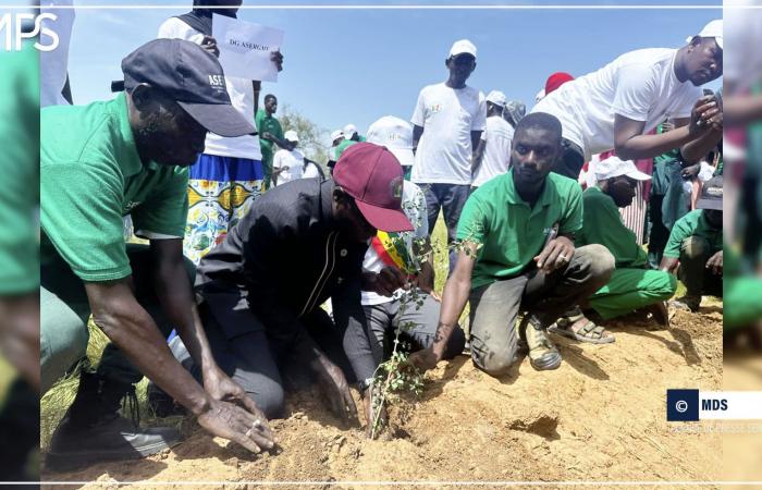 SENEGAL-AMBIENTE / Bakel: inaugurata a Ballou una riserva forestale di 260 ettari – Agenzia di stampa senegalese