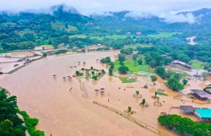 La Thailandia si mobilita per salvare gli elefanti vittime delle inondazioni