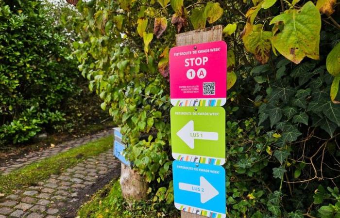 La battaglia di Dorpveld sotto i riflettori con una mostra e una nuova pista ciclabile: “Commemorare le sofferenze della prima guerra mondiale in modo onorevole” (Sint-Katelijne-Waver)