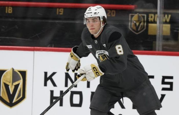 NHL: Mathieu Cataford ha imparato molto dal suo primo campo con i Golden Knights