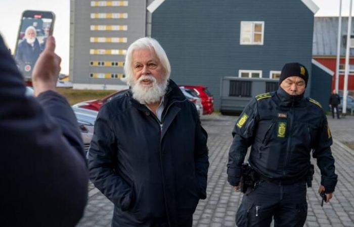 Il difensore delle balene Paul Watson resta in prigione, prolungamento “sproporzionato”, dicono i difensori