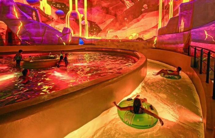 Quanto vale Aquascope, il parco acquatico Futuroscope?