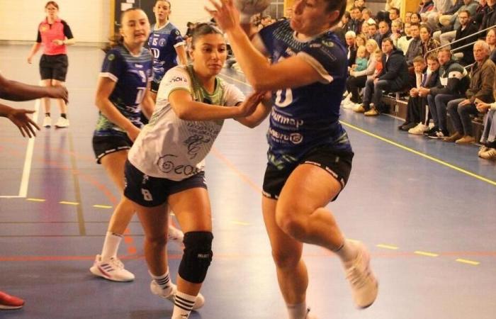 Finistère – Pallamano. N2F: Taulé vince in completo controllo contro Dreux. Sport