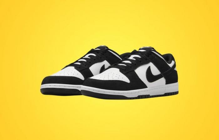 Con questa offerta la scarpa Nike Dunk Low non rimarrà in stock a lungo