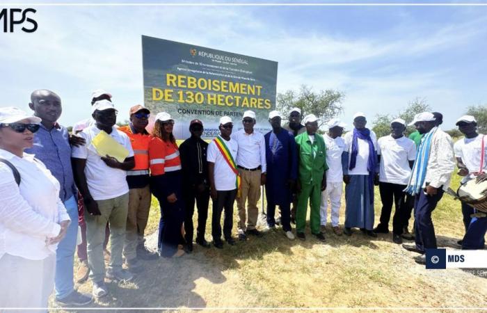 SENEGAL-AMBIENTE / Bakel: inaugurata a Ballou una riserva forestale di 260 ettari – Agenzia di stampa senegalese