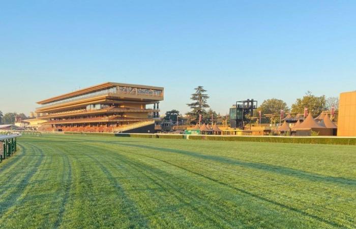 Terreno morbido previsto per il Prix de l’Arc de Triomphe