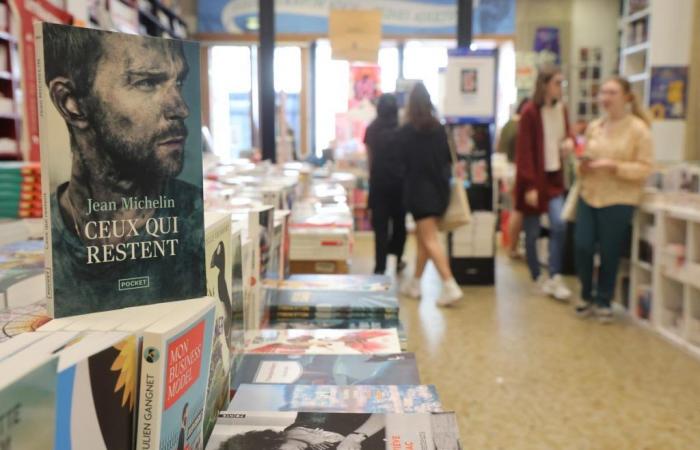 Yann Queffélec, Arnaud Boissières, Yasmina Khadra, Peter Schjeldahl, Thierry Thomas… La selezione dei libri “Sud Ouest”