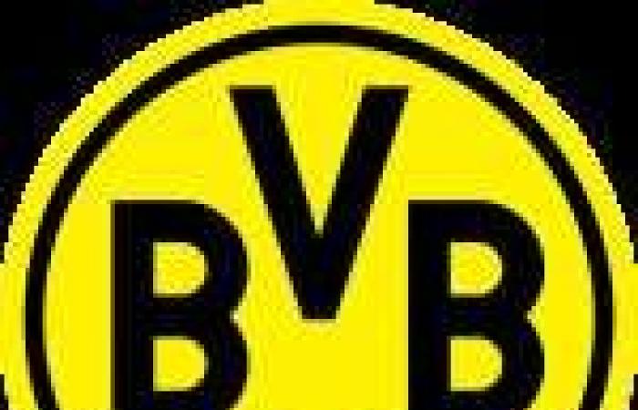 Leverkusen e Dortmund vacillano, il Bayern si frega le mani – Bundesliga – J6