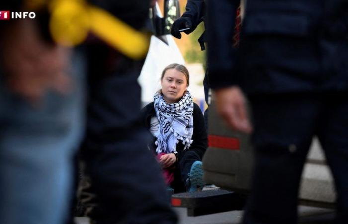 Belgio: Greta Thunberg arrestata durante una manifestazione contro i sussidi ai combustibili fossili