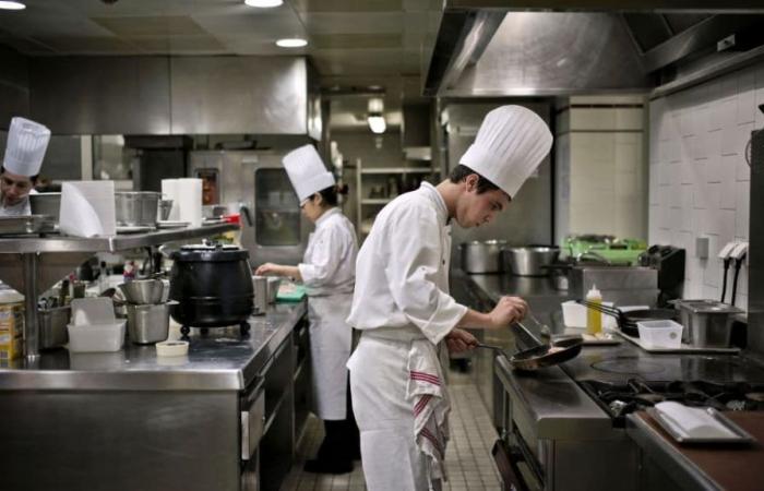 Festival, gare culinarie, formazione… Come Lille si è affermata sulla scena gastronomica