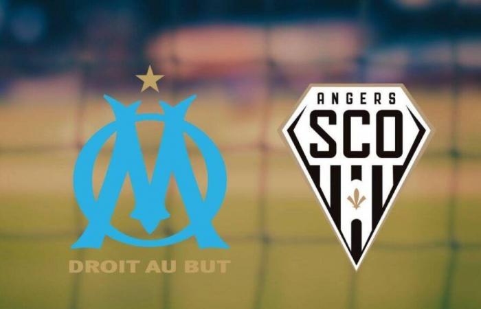 Angers: ecco il suggerimento che sta creando scalpore per vedere la partita in diretta gratis