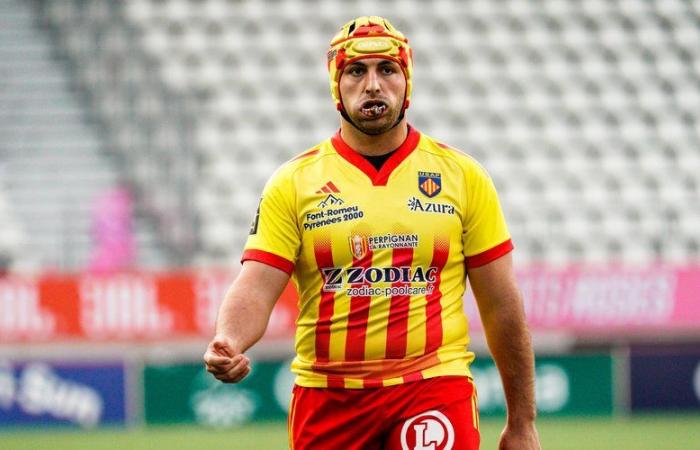 Top 14 – Perpignan – Pau note: Lucas Velarte e Joaquin Oviedo valorosi ed efficienti, Jeronimo De la Fuente e Daniel Bibi Biziwu deludenti