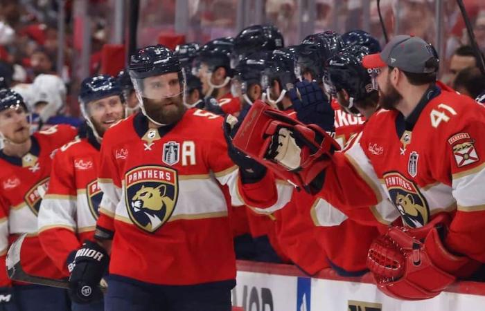 NHL: i campioni non vedono l’ora di scoprire il Quebec