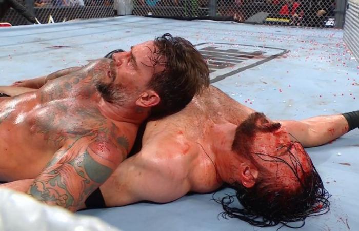 WWE Bad Blood: CM Punk ha fatto dormire Drew McIntyre