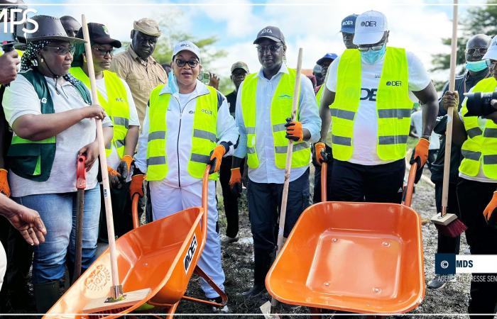 SENEGAL-AMBIENTE-EDUCAZIONE / Ziguinchor: Cheikh Tidiane Dièye lancia le attività della 5a giornata nazionale di pulizia – Agenzia di stampa senegalese