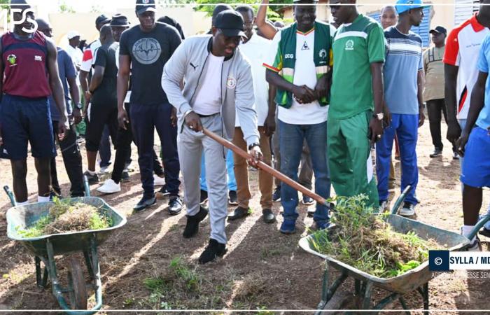 SENEGAL-AMBIENTE-ISTRUZIONE / Tambacounda: “la maggior parte delle scuole è in grado di accogliere gli studenti dall’inizio dell’anno scolastico (governatore) – Agenzia di stampa senegalese