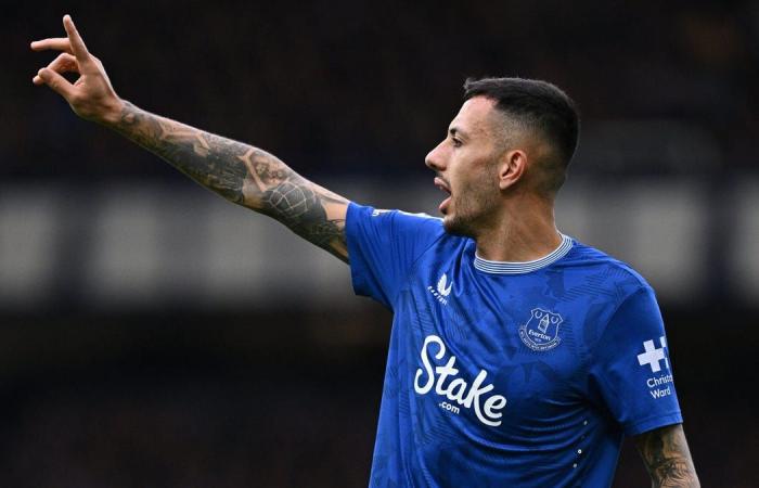 Calcio della Premier League: live streaming Everton vs Newcastle da qualsiasi luogo