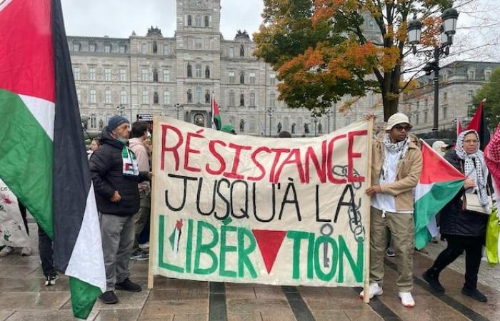 Manifestazione per la Palestina davanti all’Assemblea Nazionale