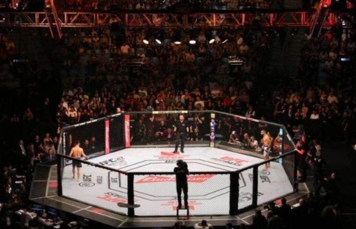 su quale canale e a che ora guardare i combattimenti di MMA in diretta?