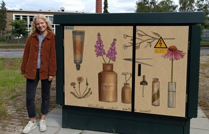 Esmee ha realizzato opere d’arte su due power box: “È speciale imbattersi nel tuo design”