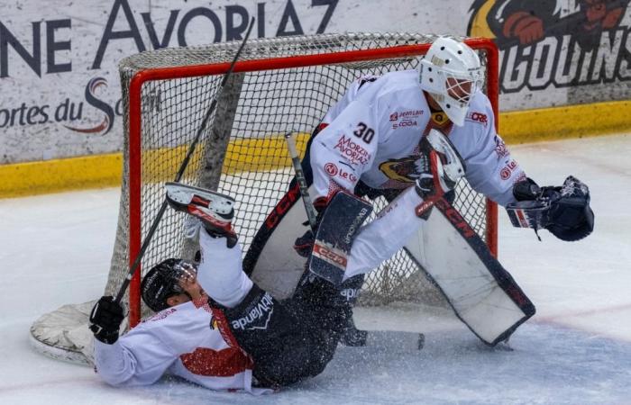 Hockey su ghiaccio – 1° giornata D1: vincono le promosse, perdono le finaliste e la favorita