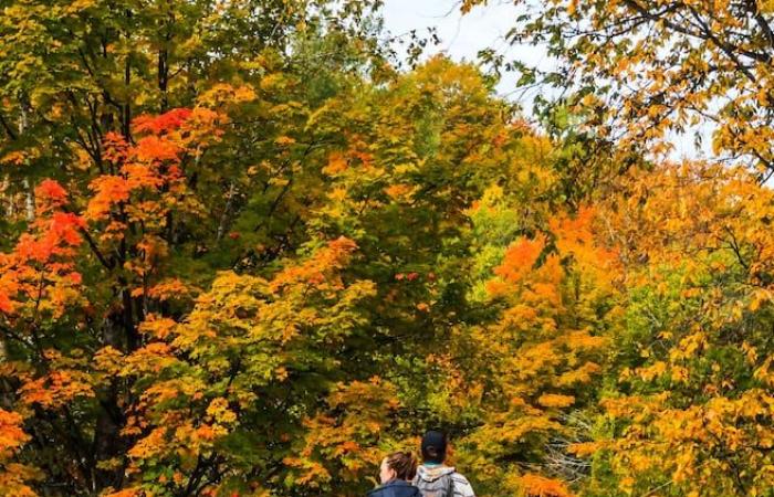 Un’altra edizione di successo per il Cammino dei Mille Colori